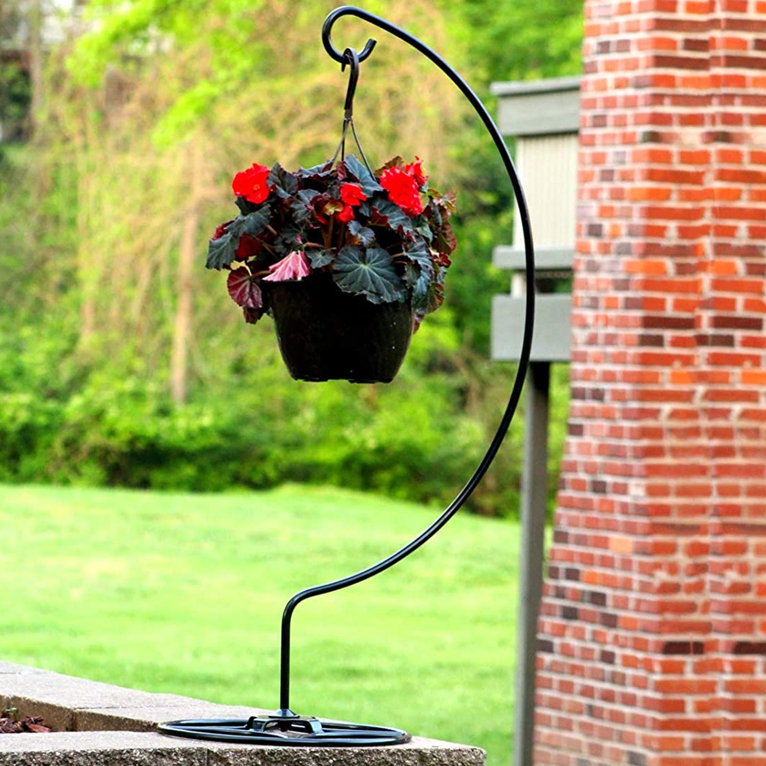 Hooks Plant Stands, Accessories & Hangers You'll Love