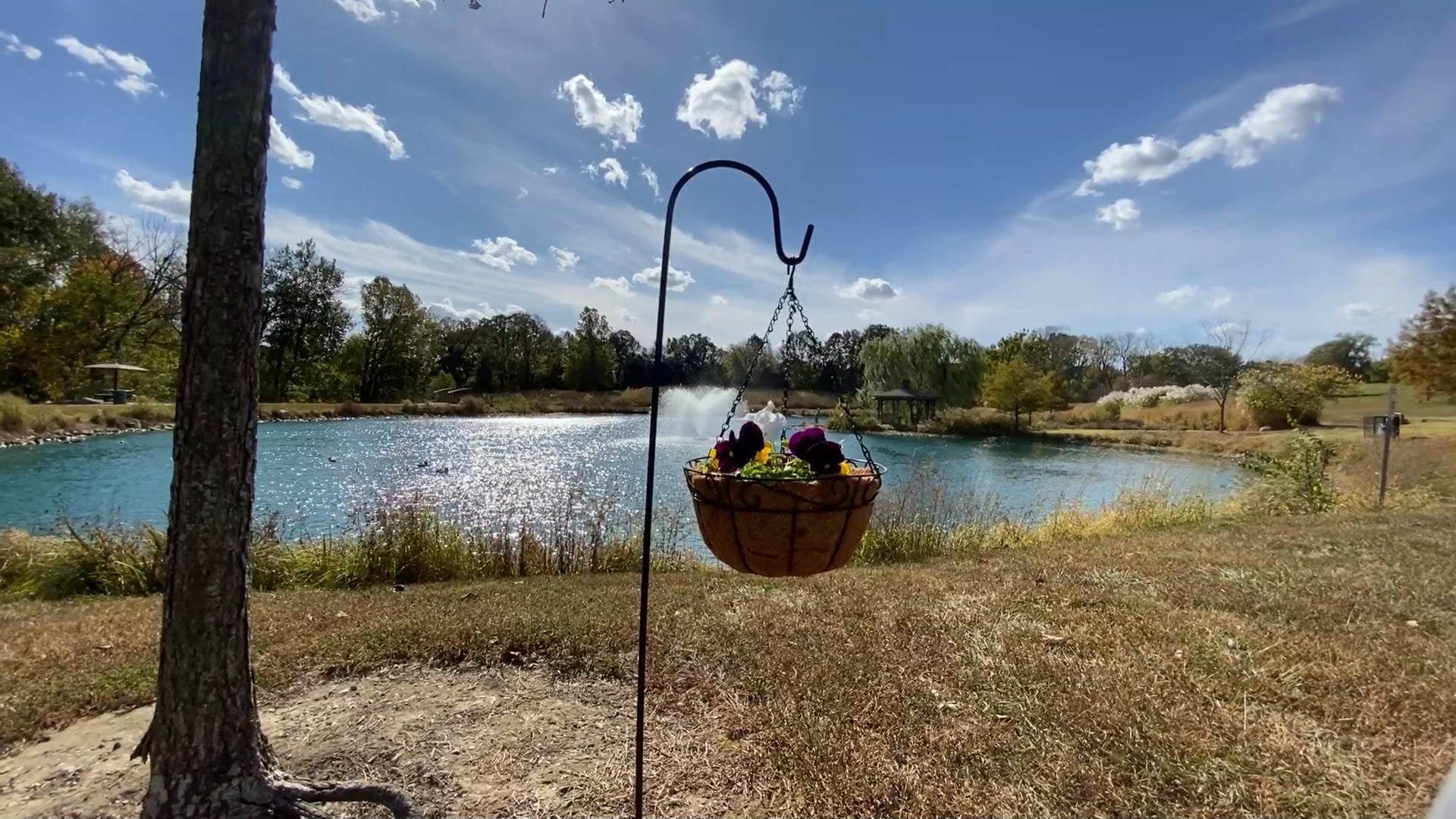 Ashman shepherd's hooks black set made online of premium metal for hanging solar lights